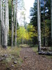 photo thumbnail #4