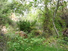 photo thumbnail #10