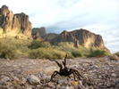 photo thumbnail #3