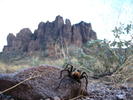 photo thumbnail #5