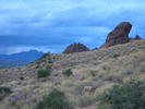 photo thumbnail #7