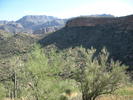 photo thumbnail #2