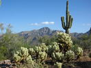 photo thumbnail #4