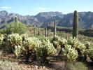 photo thumbnail #5