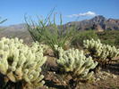 photo thumbnail #7