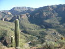 photo thumbnail #11
