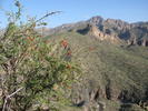 photo thumbnail #12