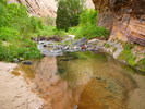 photo thumbnail #11