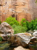 photo thumbnail #13