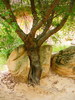 photo thumbnail #14