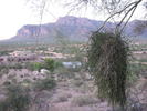 photo thumbnail #3