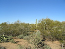photo thumbnail #5