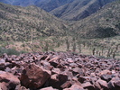 photo thumbnail #7
