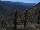 photo thumbnail #12