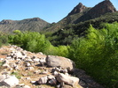 photo thumbnail #3
