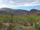 photo thumbnail #10