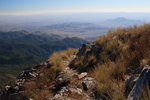 photo thumbnail #1