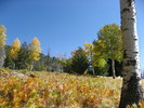 photo thumbnail #6