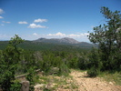 photo thumbnail #8