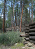 photo thumbnail #5