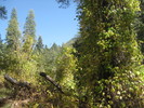 photo thumbnail #10