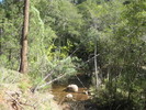 photo thumbnail #11