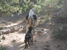 photo thumbnail #15