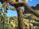 photo thumbnail #2