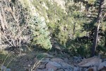 photo thumbnail #13