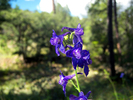 photo thumbnail #12