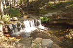 photo thumbnail #5