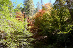 photo thumbnail #11
