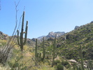 photo thumbnail #2