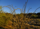 photo thumbnail #4