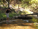 photo thumbnail #4