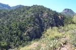 photo thumbnail #5