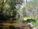 photo thumbnail #14