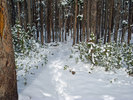 photo thumbnail #10