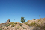 photo thumbnail #11