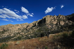 photo thumbnail #11