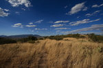 photo thumbnail #13