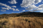 photo thumbnail #14