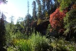 photo thumbnail #11