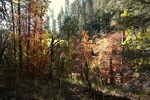 photo thumbnail #14