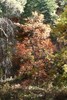 photo thumbnail #15