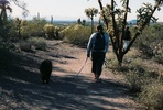 photo thumbnail #3