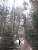 photo thumbnail #2