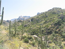 photo thumbnail #5