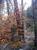 photo thumbnail #15