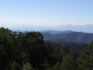 photo thumbnail #10